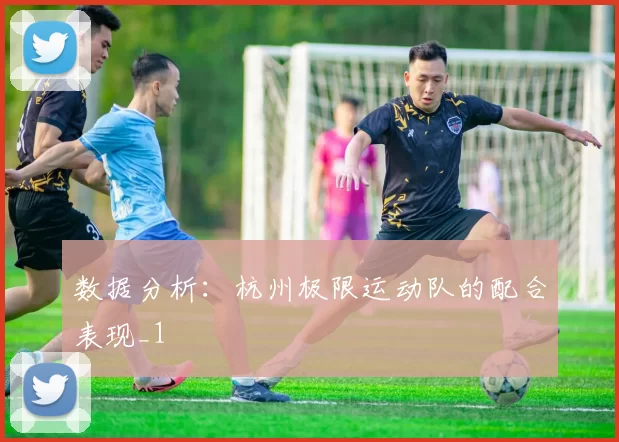 数据分析：杭州极限运动队的配合表现_1